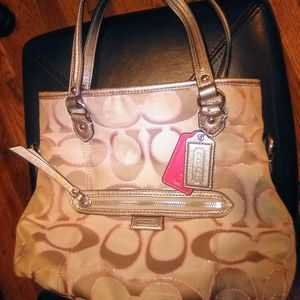 Coach DAISY OUTLINE SIGNATURE METALLIC MIA